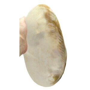 Caviar Server Natural  Iridescence Mother Of Pearl Shell Footed Base Design